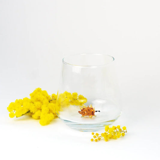 Hedgehod Glass